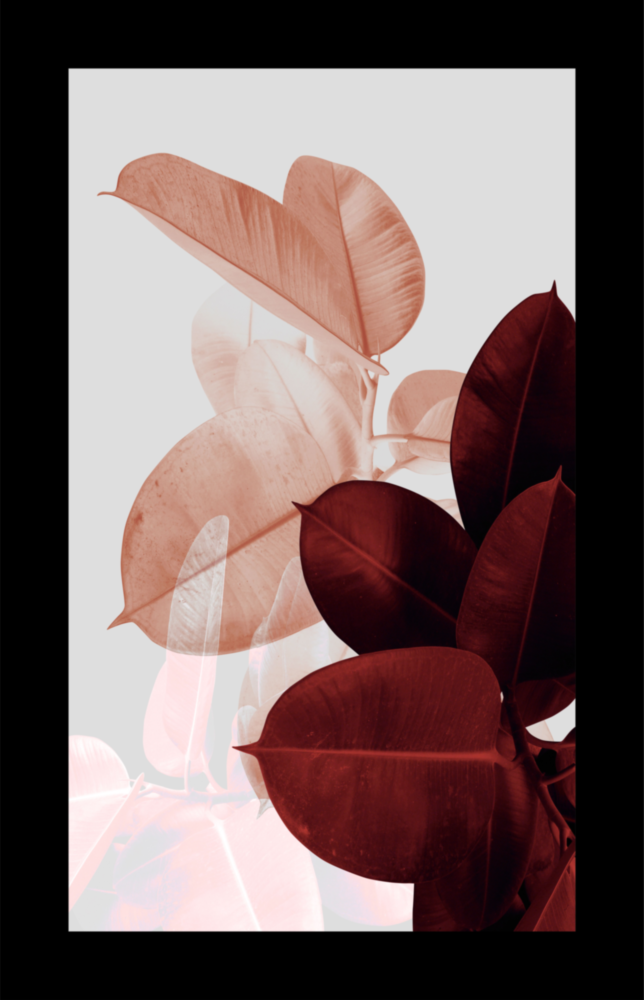 Arte de pared de vidrio de Foglie