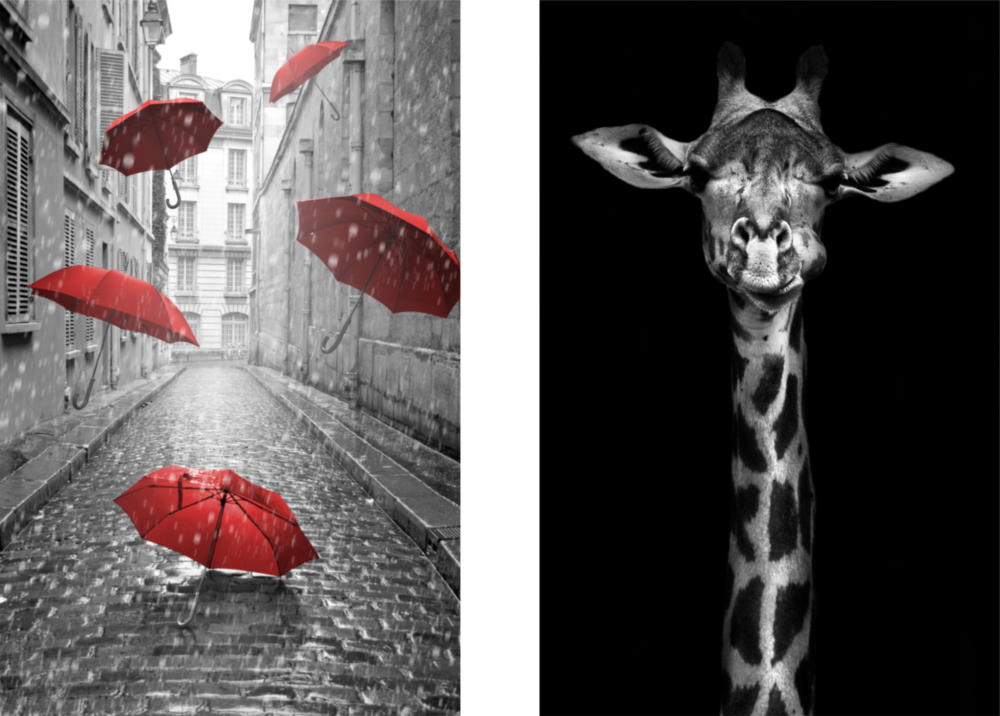 Arte de pared de vidrio combinado de 2 piezas de Jirafa y paraguas