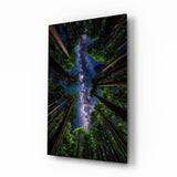 Glasbild Redwood Canopy Milky Way Night Sky - 72x46 cm