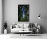 Redwood Canopy Milky Way Night Sky Glass Wall Art