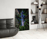 Redwood Canopy Milky Way Night Sky Glass Wall Art