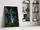 Redwood Canopy Milky Way Night Sky Glass Wall Art