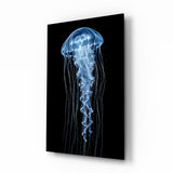 Blue Jellyfish on Black Deep Sea Glass Wall Art - 72x46 cm