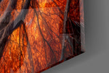 Autumn Forest Spiral Vortex Glass Wall Art