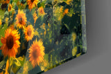 Derelict Airship in Sunflower Field Glass Wall Art