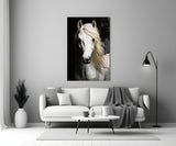 White Horse Flowing Mane Black Backdrop Glass Wall Art