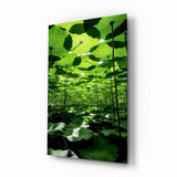 Glasbild Under the Lotus Leaves Green - 72x46 cm