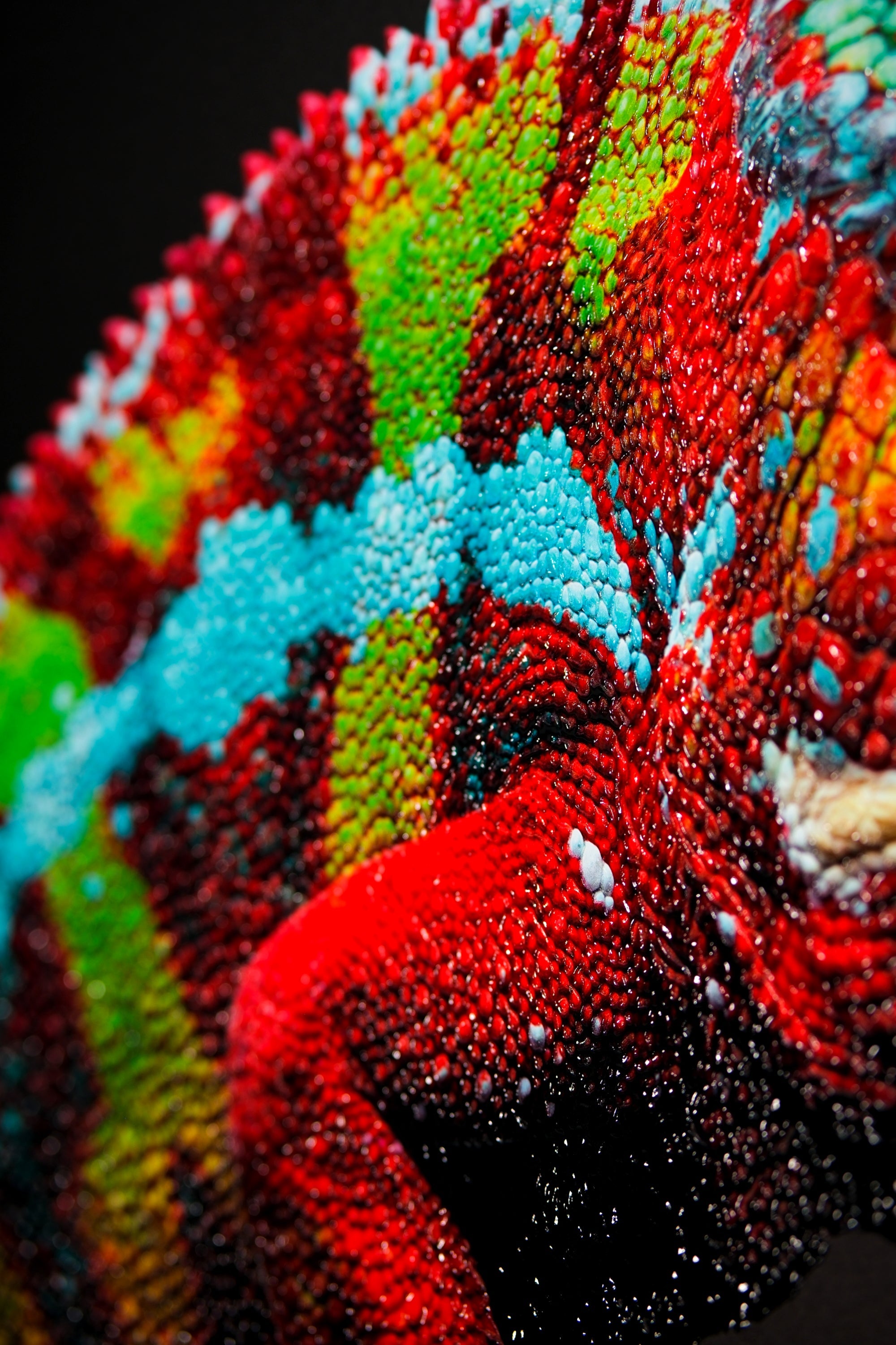 Prismskin Guardian — Haptic 3D Embossed + High-Gloss Lacquer Print