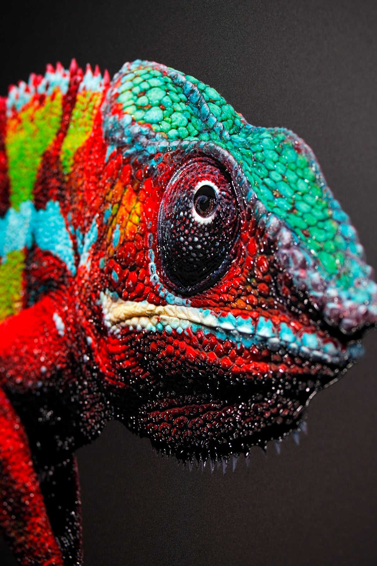 Haptic Print Example Prismskin Guardian — Haptic 3D Embossed + High-Gloss Lacquer Print ...