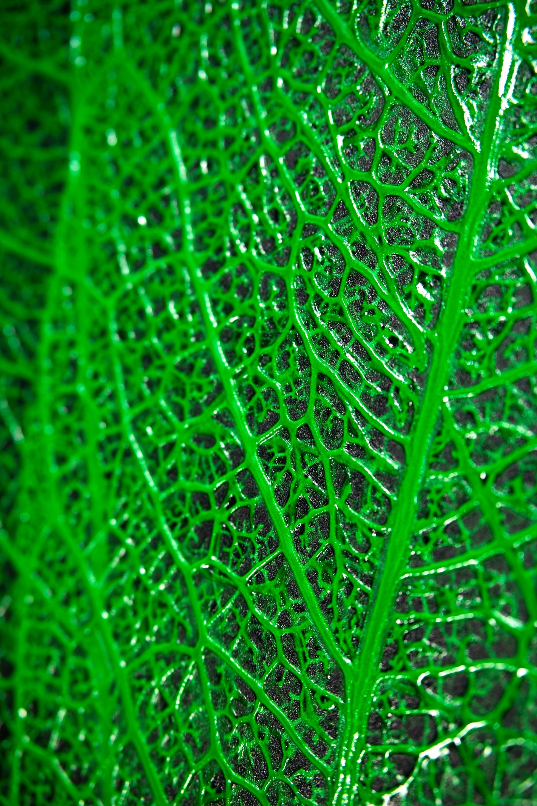 Verdant Lattice — Haptic 3D Embossed + High-Gloss Lacquer Print
