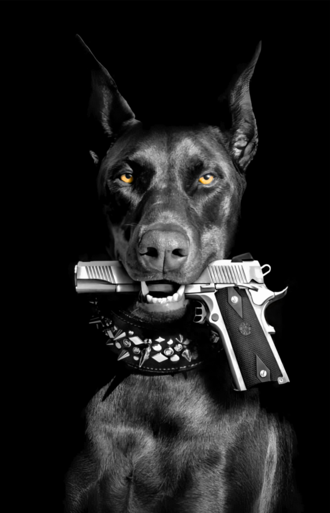 Arte della parete di vetro Gun Dog || Collezione di design