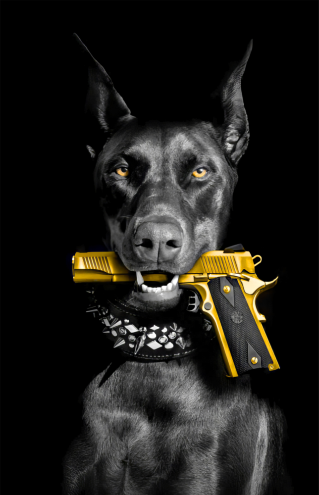 Arte della parete di vetro Gun Dog || Collezione di design