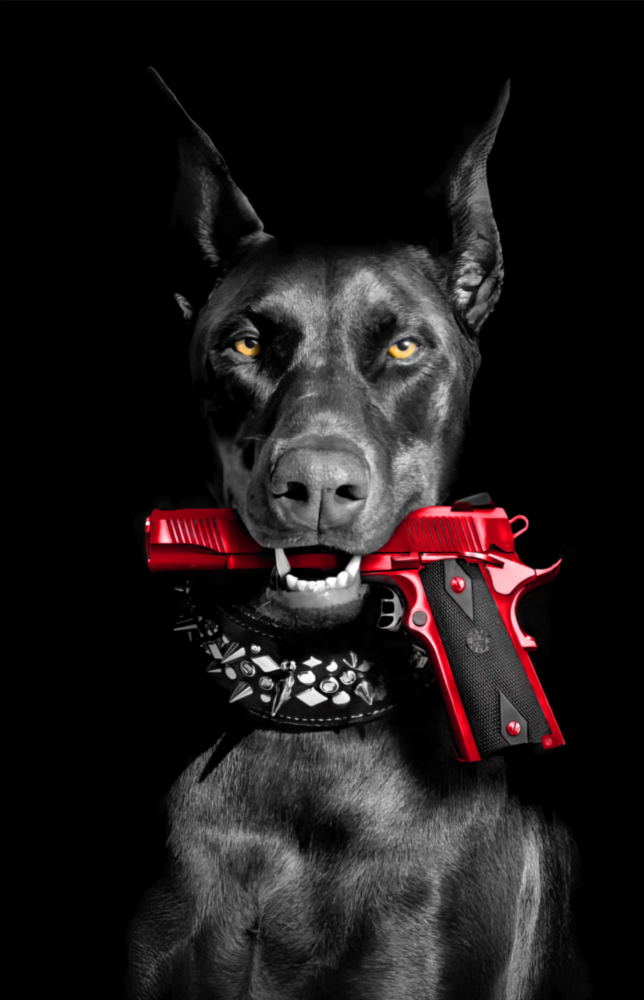 Arte della parete di vetro Gun Dog || Collezione di design