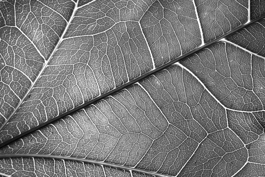 Silver Veins — Haptic 3D Embossed + Gloss Lacquer Print