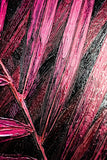 Magenta Midnight Frond — A Sculpted Pulse of Tropical Velvet