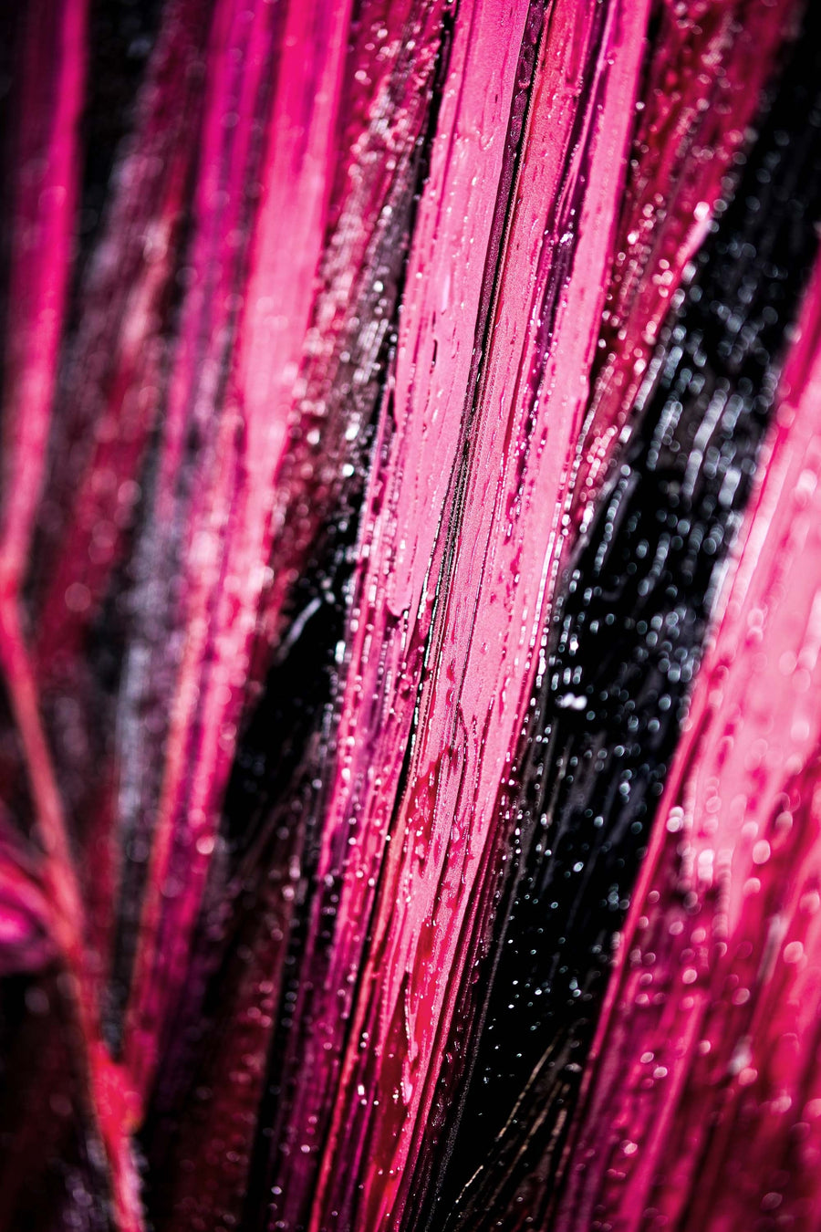 Magenta Midnight Frond — A Sculpted Pulse of Tropical Velvet