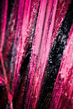 Magenta Midnight Frond — A Sculpted Pulse of Tropical Velvet