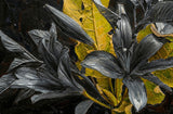 Noir Lilies & Gilded Shadows — 3D Haptic Embossed High-Gloss Luxury Wall Art