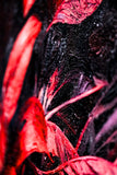 Crimson Velvet Lilies — 3D Haptic Embossed High-Gloss Luxury Wall Art