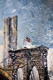 Gotham’s Golden Gateway: Brooklyn Bridge — 3D Haptic Embossed High-Gloss Luxury Wall Art
