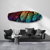Rainbow Feather Macro Glass Wall Art.