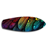 Rainbow Feather Macro Glass Wall Art.