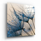 Blauer Tautropfen Löwenzahn Glasbild - 40x40 cm