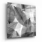 Cuadro de cristal Hojas en blanco y negro - 40x40 cm