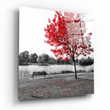 Árbol Rojo Banco junto al Lago cuadro de cristal - 40x40 cm
