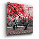 Boschetto del Parco in Fiore Rosso quadro in vetro - 40x40 cm