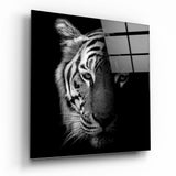 Schattierter Monochromer Tiger Glasbild - 40x40 cm