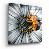 Glasbild Biene - 40x40 cm