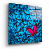 Rosa Schmetterling auf Blauem Schwarm Glasbild - 40x40 cm