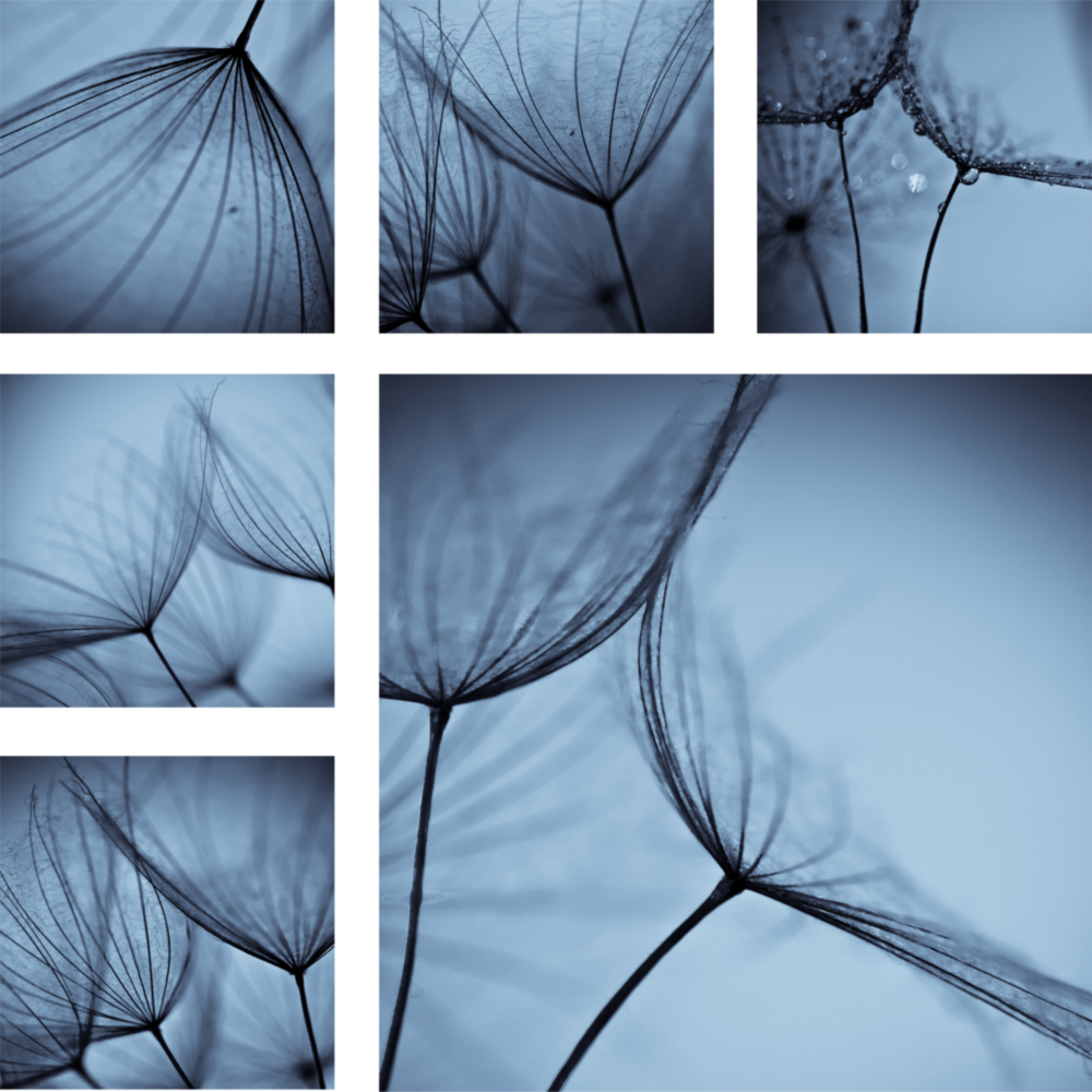 Arte della parete di vetro Fiore