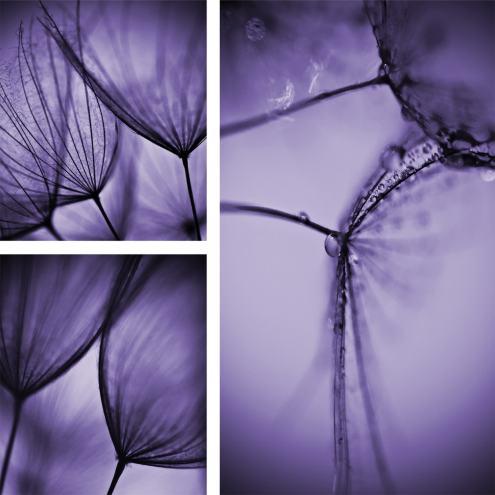 Arte della parete di vetro Fiore