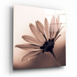 Margherita Controluce Seppia quadro in vetro - 40x40 cm