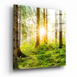Sunburst Green Forest Moss Glass Wall Art - 40x40 cm