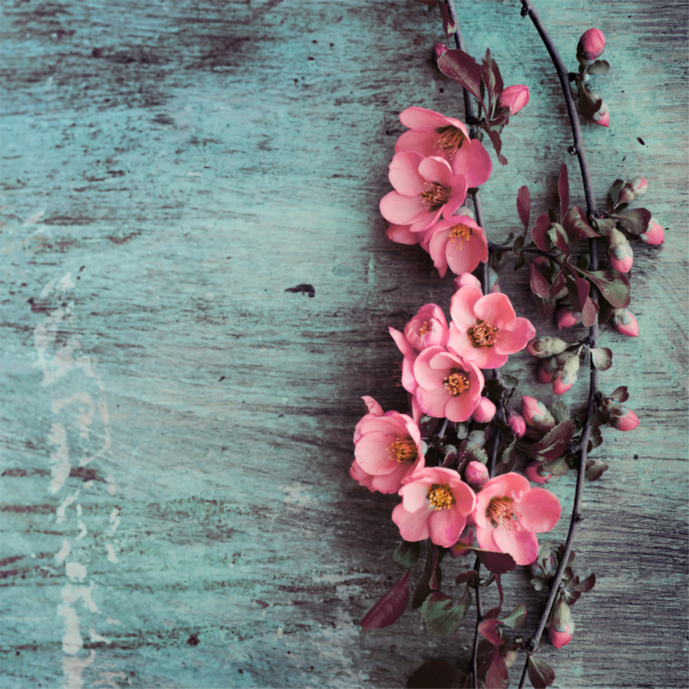 Arte della parete di vetro Fiore