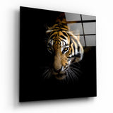 Tigre dorata su sfondo scuro quadro in vetro - 40x40 cm