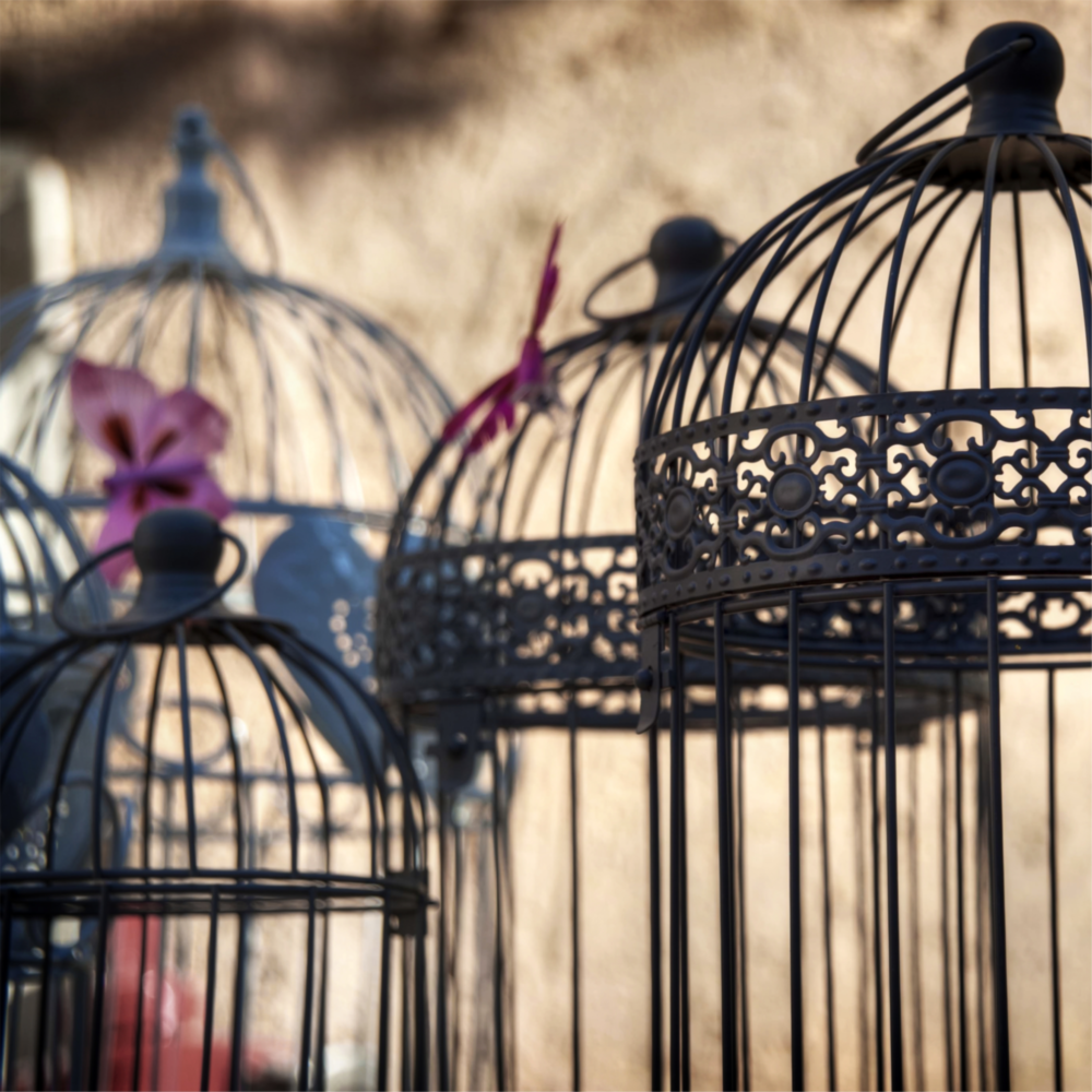 Arte de pared de vidrio de Gabbia per uccelli