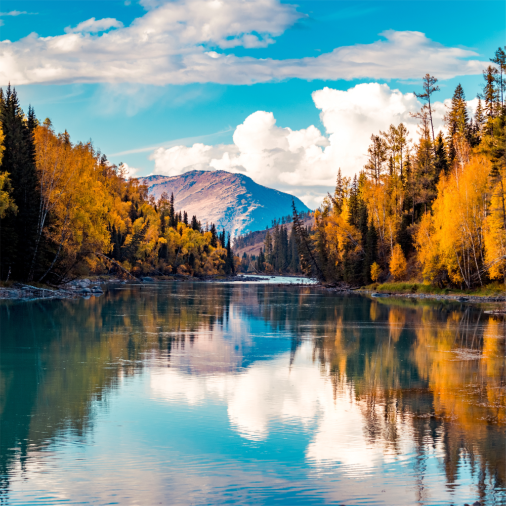 Arte de pared de vidrio de Obiettivo