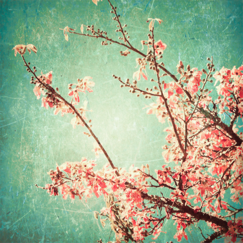 Arte de pared de vidrio de fiore di ciliegio