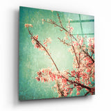 Cherry Blossom Glasbild - 40x40 cm