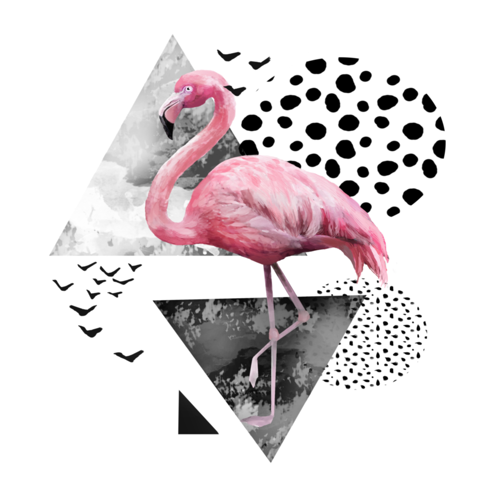 Flamingo Glasbild