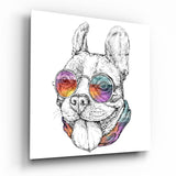 Bulldog esbozado con gafas arcoíris cuadro de cristal - 40x40 cm