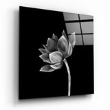 Lotus Incliné Noir et Blanc Floral tableau en verre - 40x40 cm