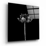 Capullo de Loto Erguido Monocromático Floral cuadro de cristal - 40x40 cm