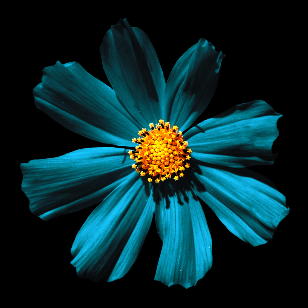 Fleur verte Impression sur verre