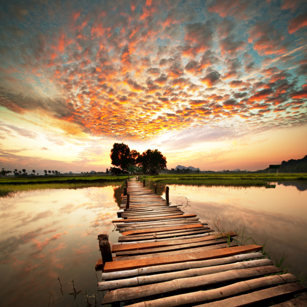 Dock and Landscape Glass Wall Art