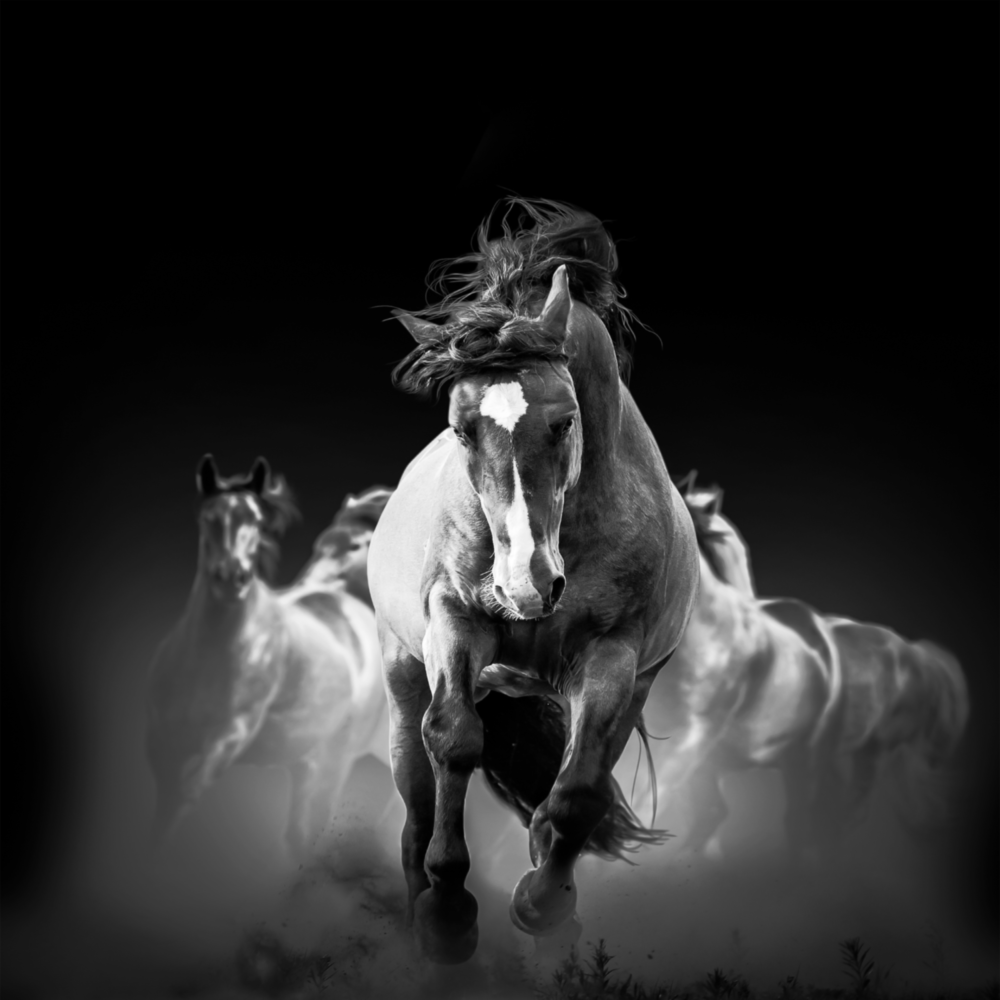 Running Horse Glass Wall Art